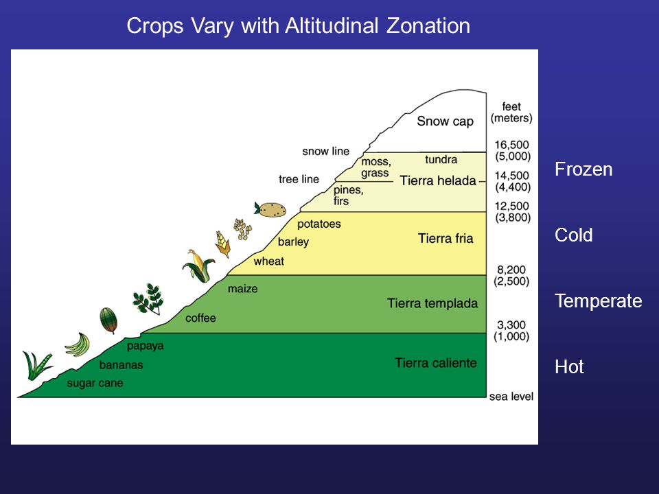 Zone definition. Altitude. Altitude Zone. Types of Altitude. Altitudinal zoning scheme.