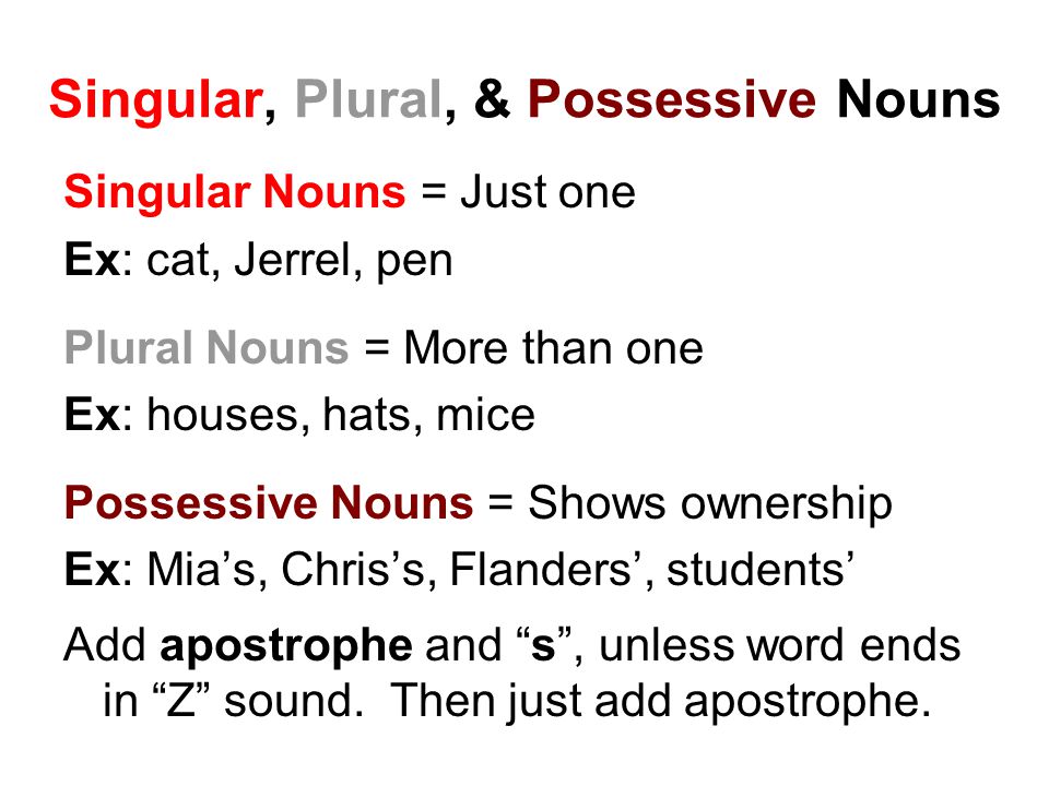 Chris's or Chris': The Correct Plural Possessive Form