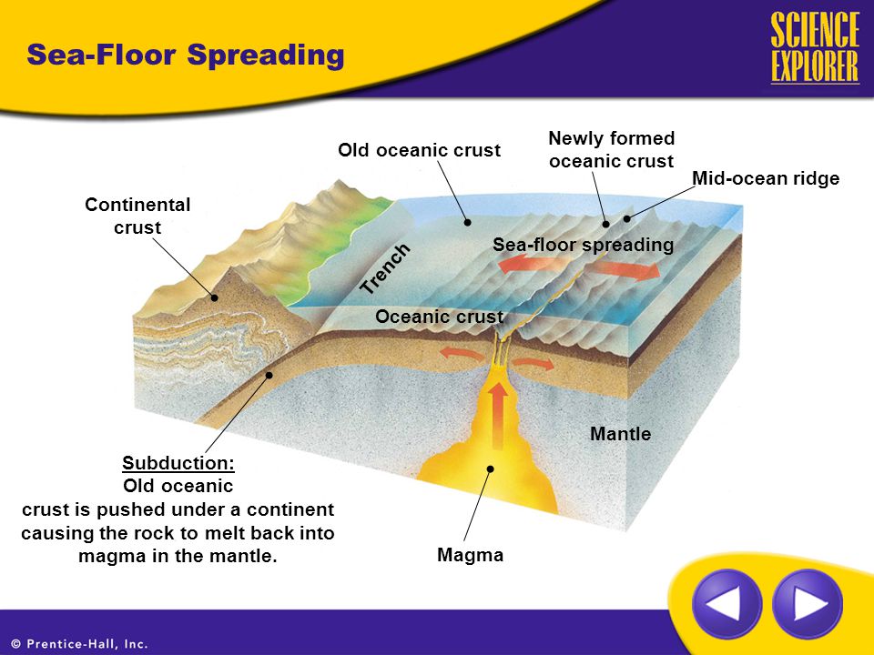 Sea Floor Spreading Copy The Following Map Of The Ocean Floor