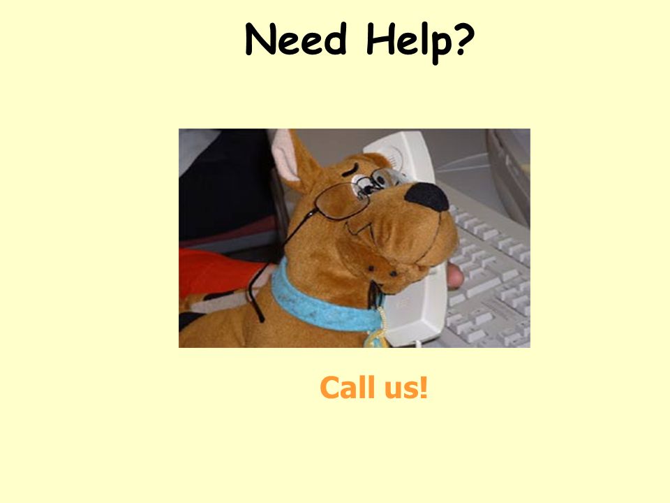 Need Help Call us!