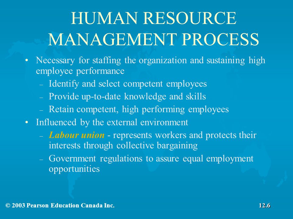 HUMAN RESOURCE MANAGEMENT PROCESS