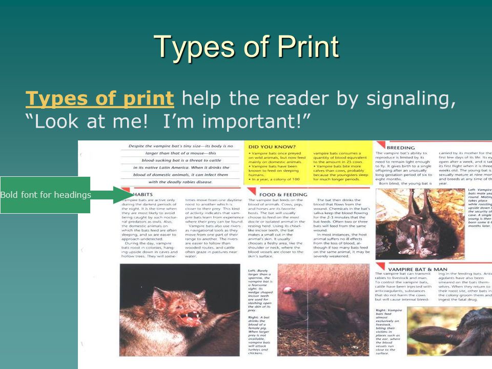 Types of Print Types of print help the reader by signaling, Look at me.