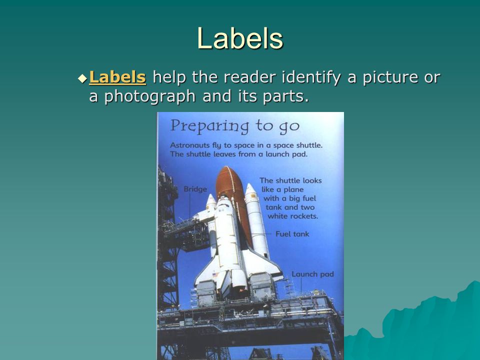 Labels Labels help the reader identify a picture or a photograph and its parts.