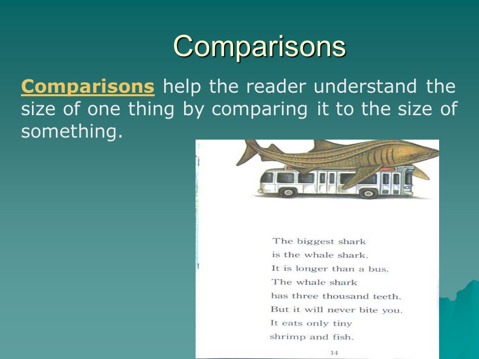 Comparisons Comparisons help the reader understand the size of one thing by comparing it to the size of something.