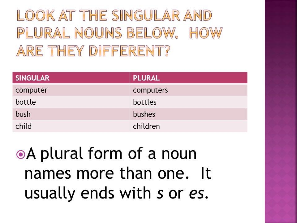 Look at the singular and plural nouns below. How are they different