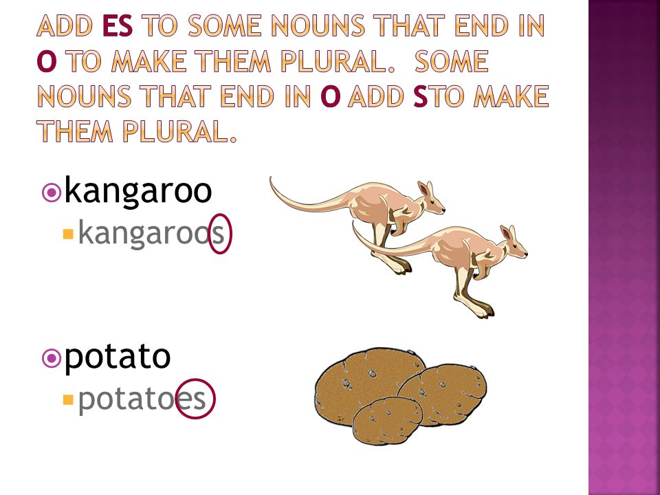 kangaroo potato kangaroos potatoes