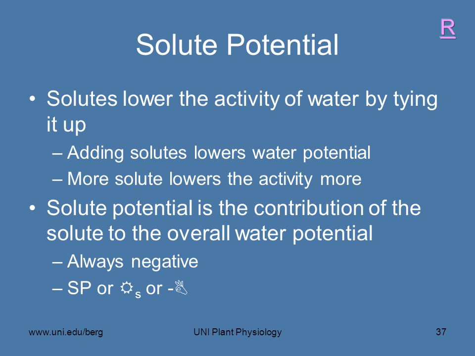 Solute Potential R Solutes lower the activity of water by tying it up