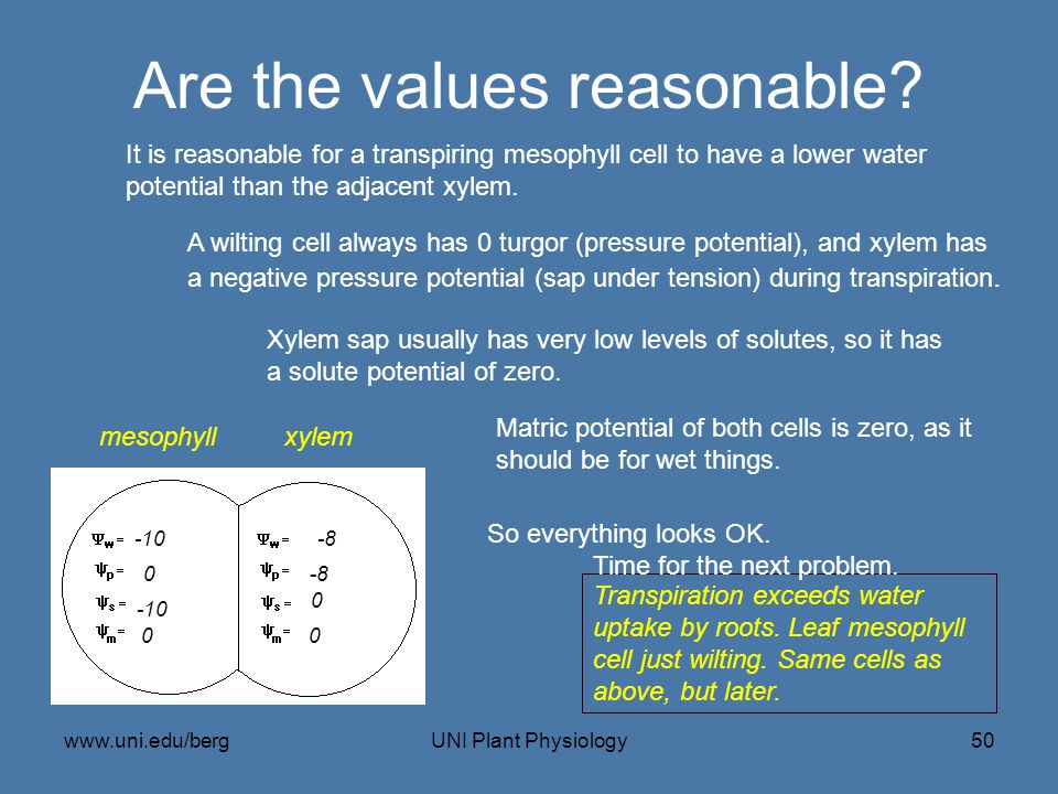 Are the values reasonable