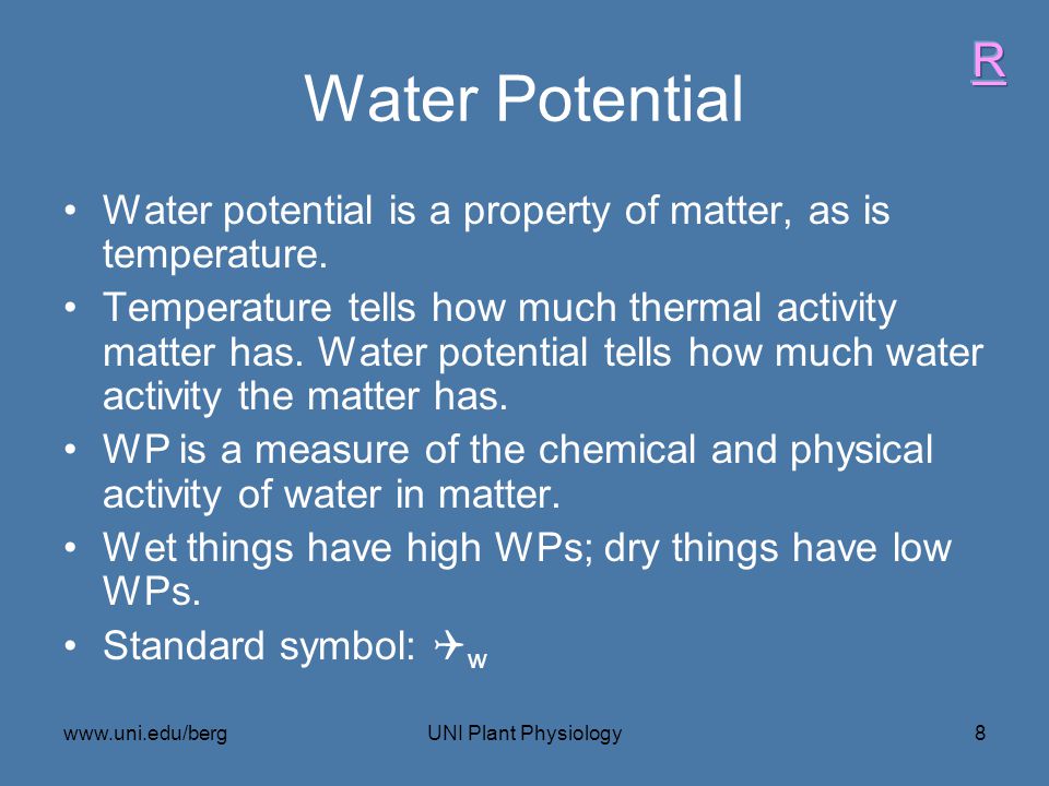 Water Potential R. Water potential is a property of matter, as is temperature.