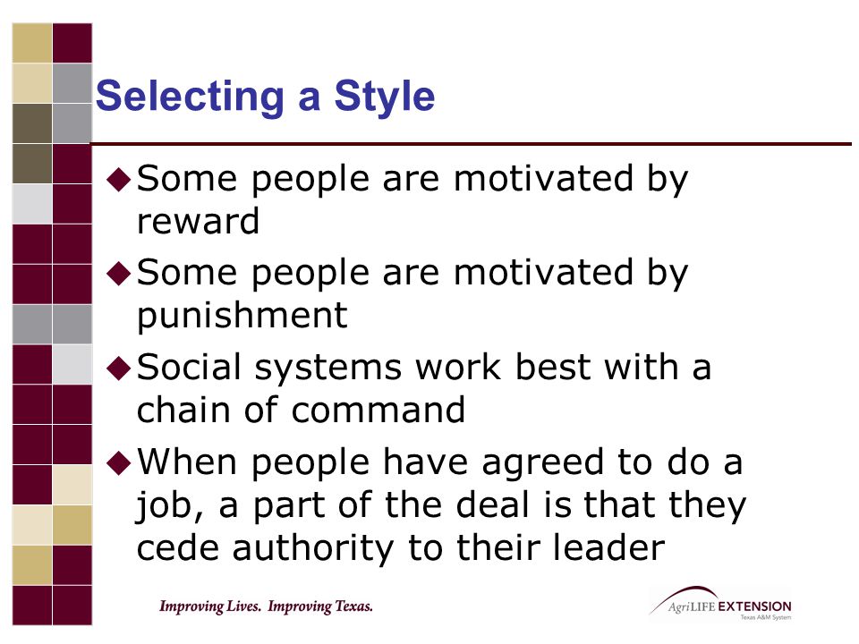 Selecting a Style Some people are motivated by reward