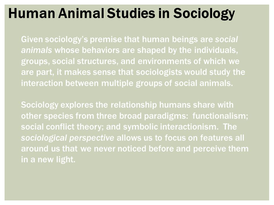 Animals and Society: An Introduction to Human-Animal Studies - ppt video  online download