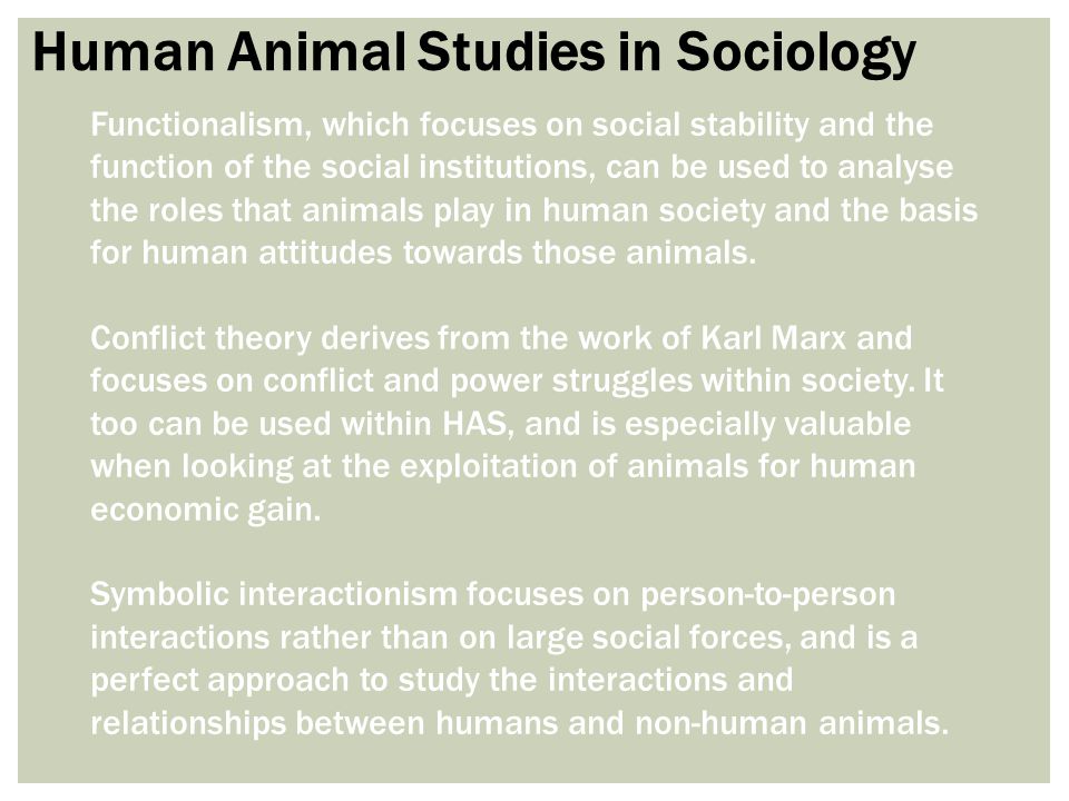 Animals and Society: An Introduction to Human-Animal Studies - ppt video  online download