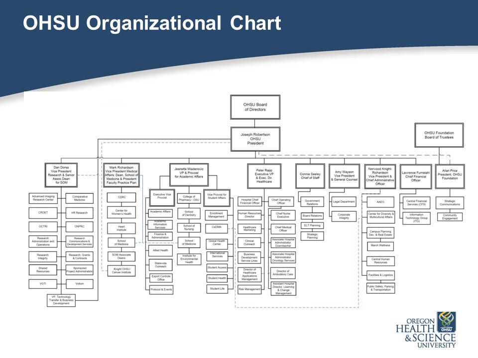Ohsu Organizational Chart