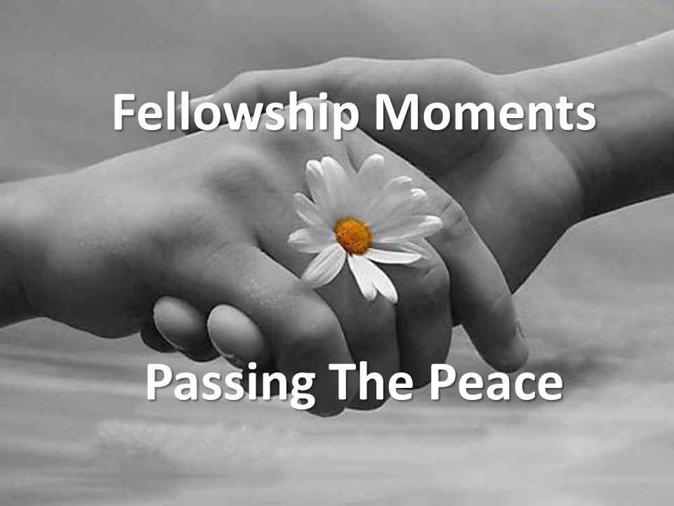 Fellowship Moments Passing The Peace