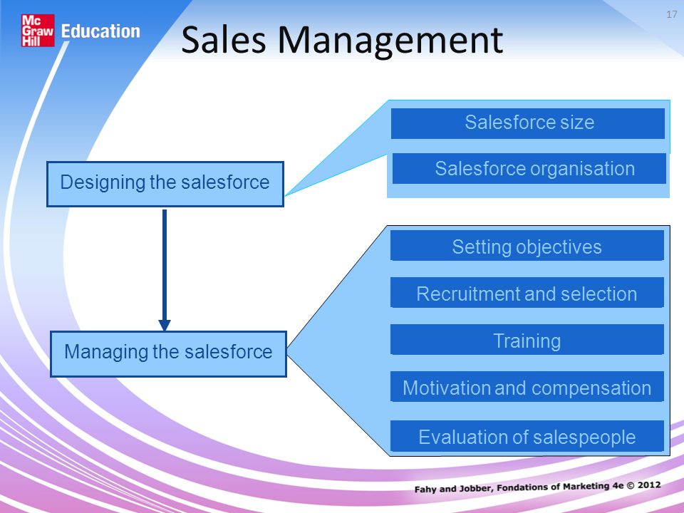 Sales Management Salesforce size Salesforce organisation