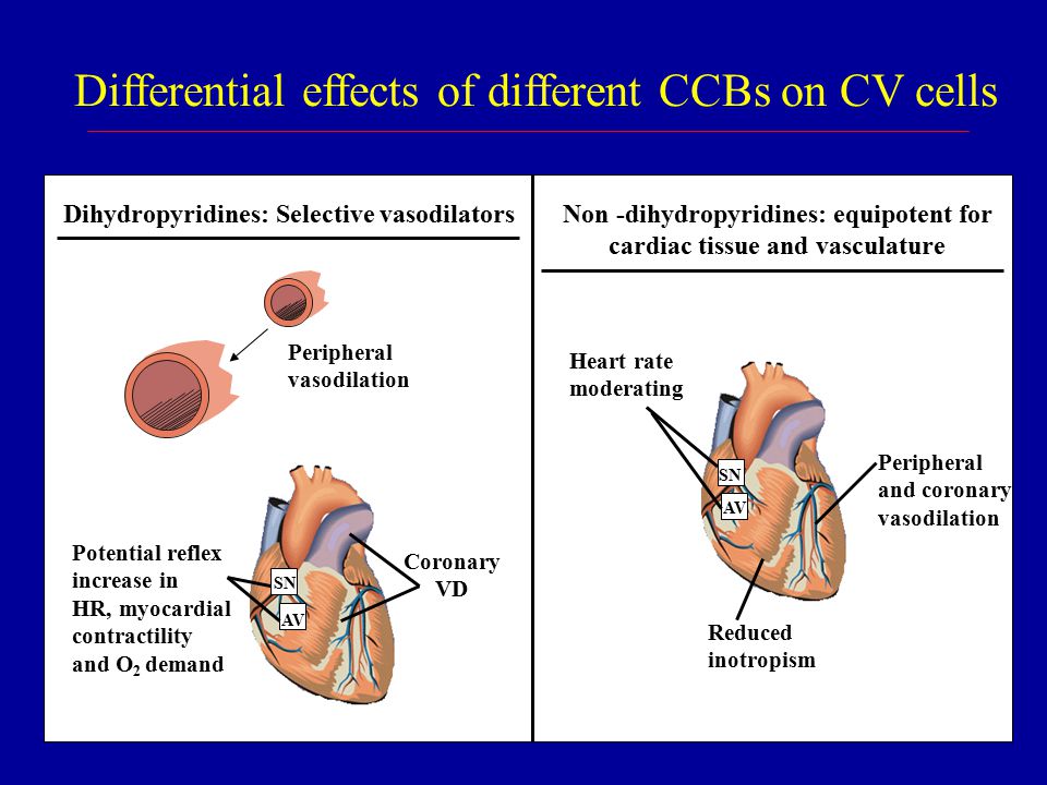 Calcium Channel Blocking Drugs Ppt Video Online Download