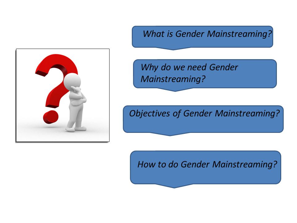 What is Gender Mainstreaming
