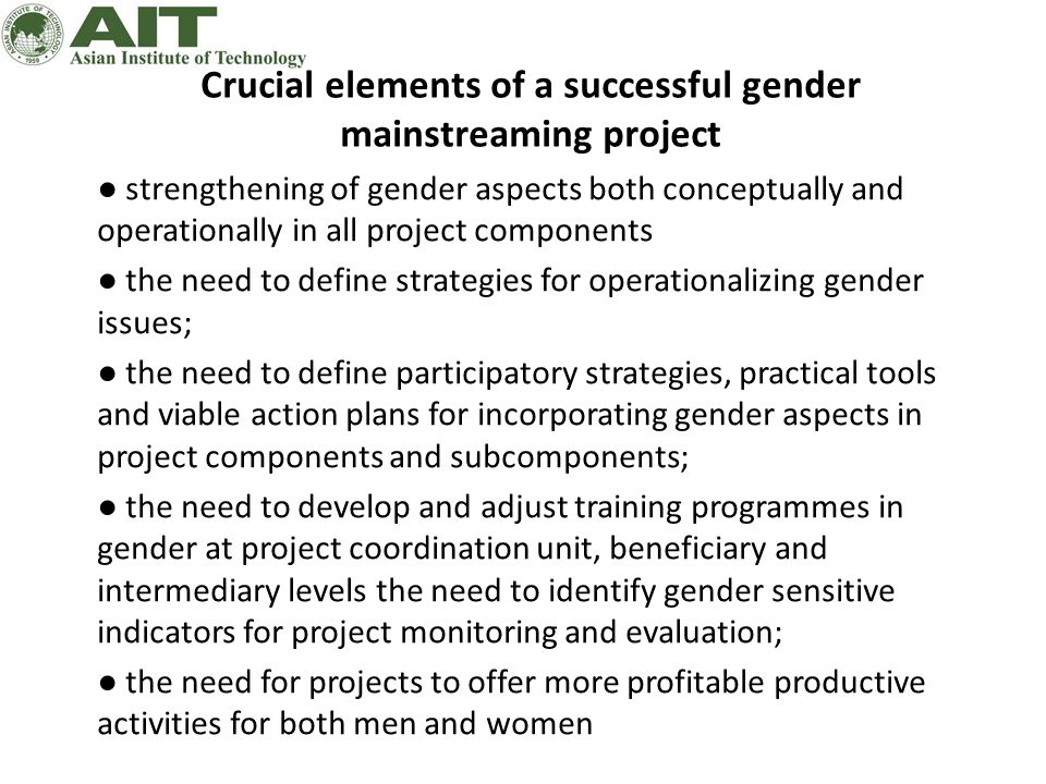 Crucial elements of a successful gender mainstreaming project
