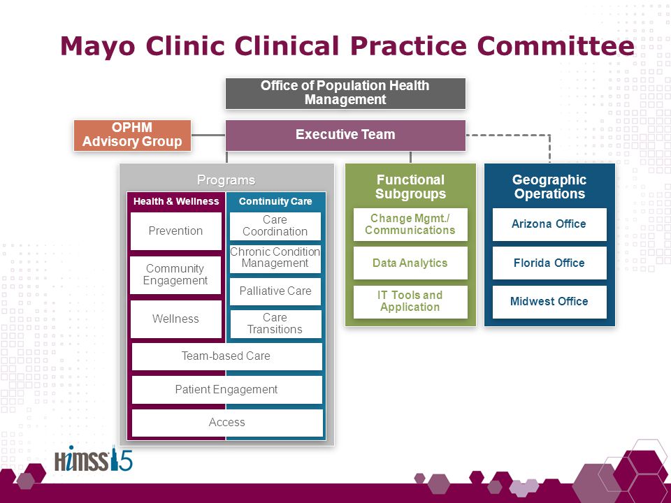 Mayo Clinic Organization Chart