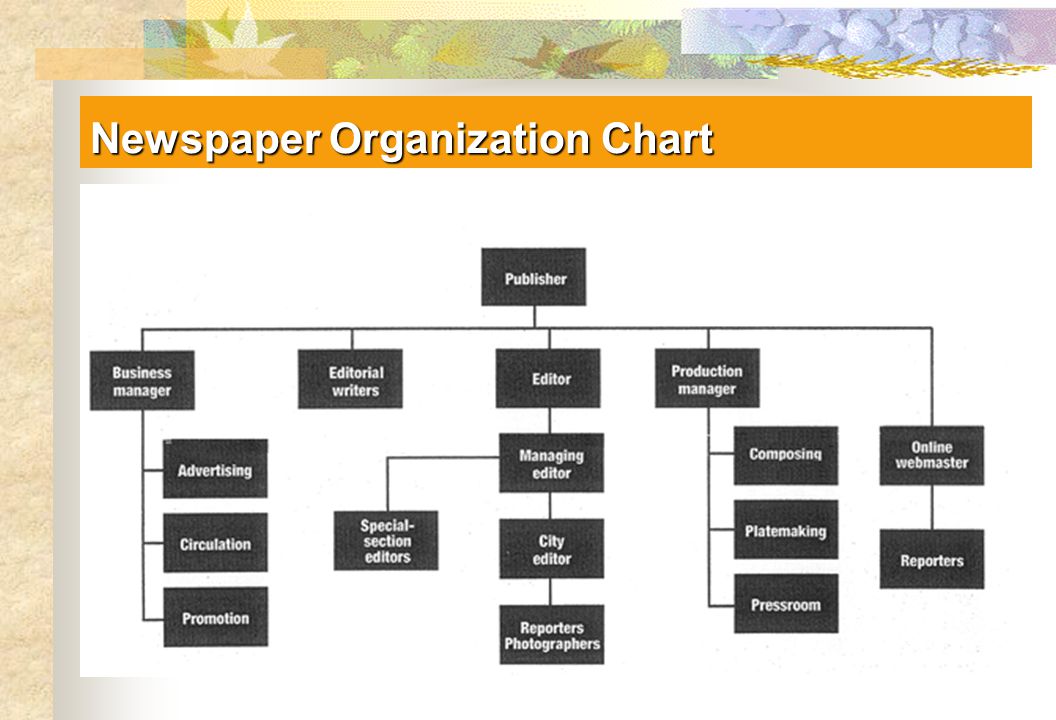 Newspaper Organizational Chart