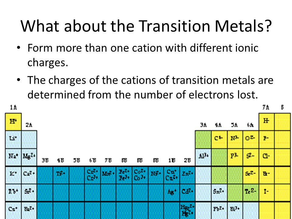 What about the Transition Metals