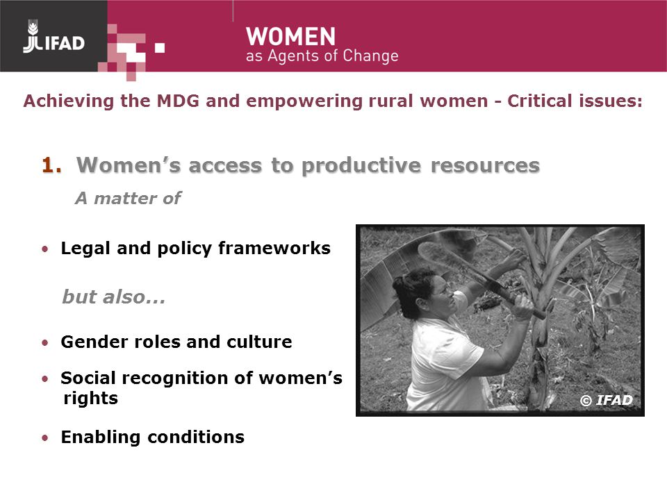 Achieving the MDG and empowering rural women - Critical issues: