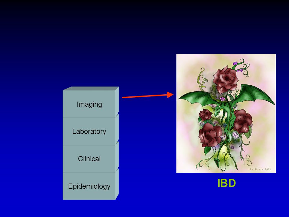 Imaging Laboratory Clinical Epidemiology IBD