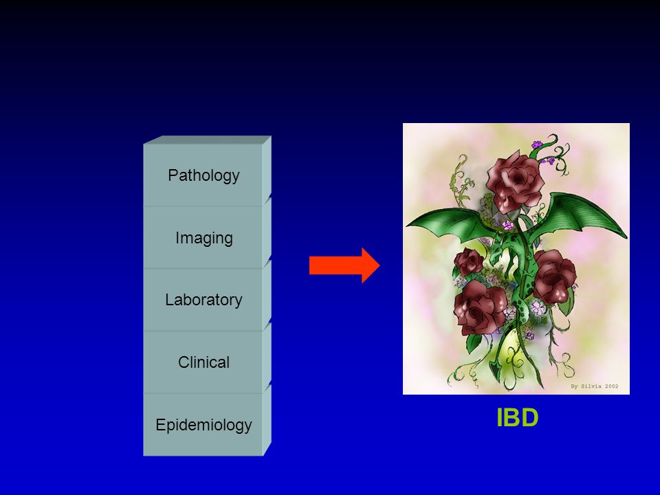Pathology Imaging Laboratory Clinical Epidemiology IBD