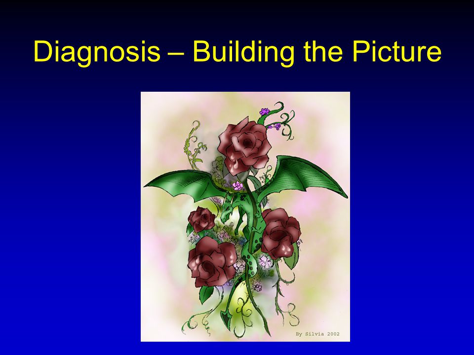 Diagnosis – Building the Picture