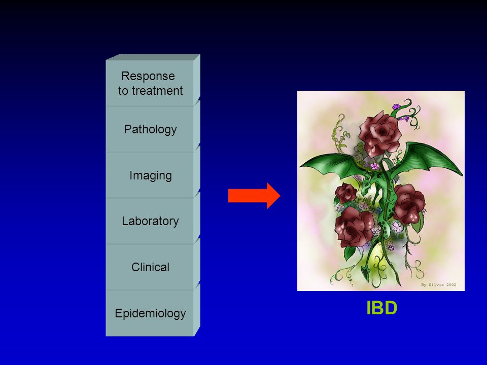 IBD Response to treatment Pathology Imaging Laboratory Clinical