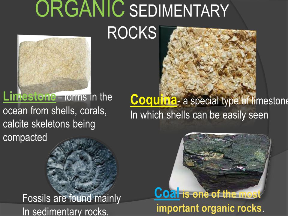 Organic Sedimentary Rocks List