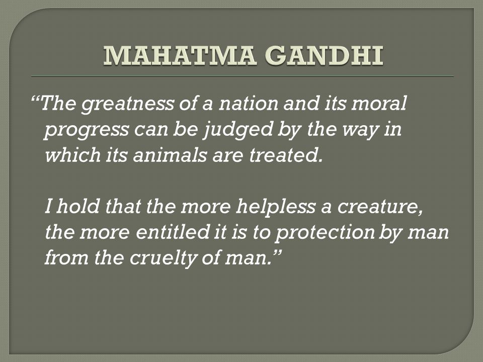 MAHATMA GANDHI The greatness of a nation and its moral progress can be judged by the way in which its animals are treated.