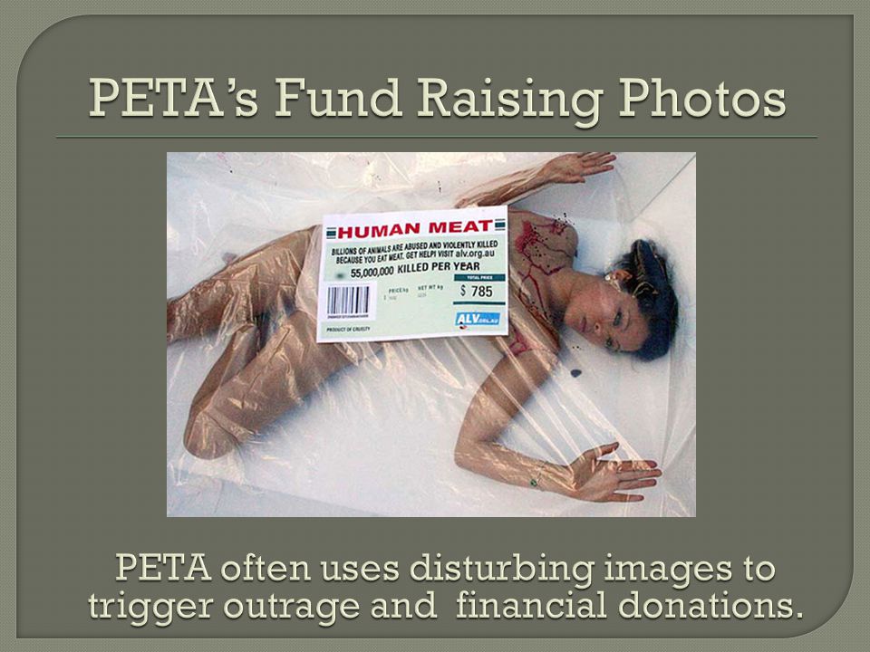 PETA’s Fund Raising Photos
