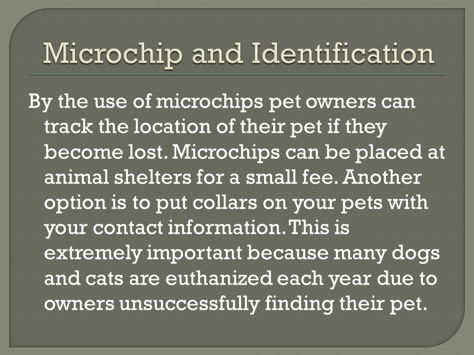Microchip and Identification