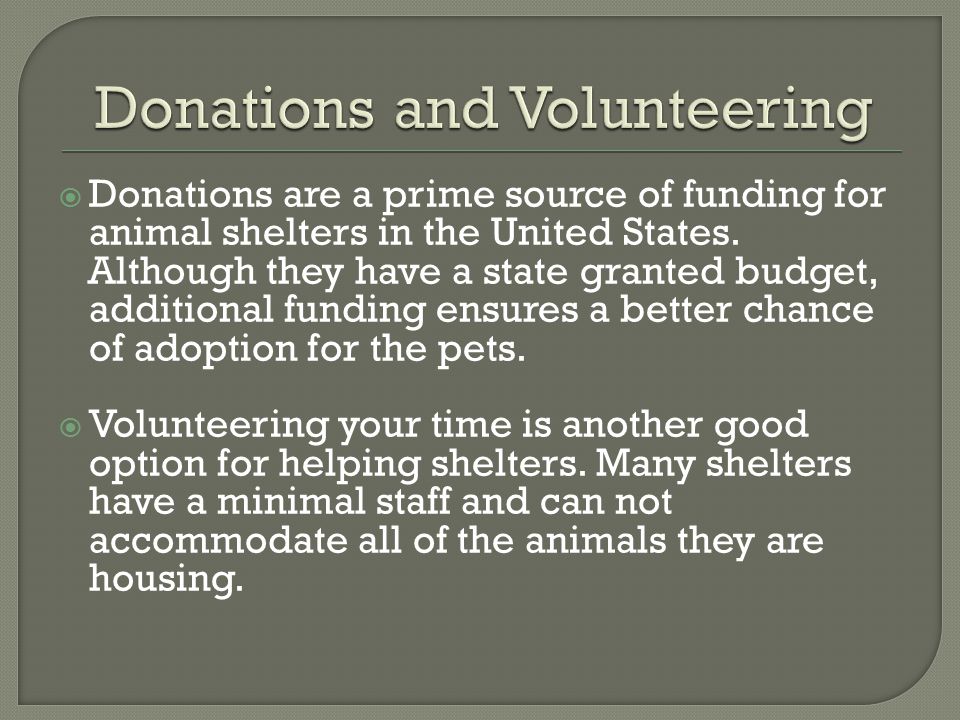 Donations and Volunteering