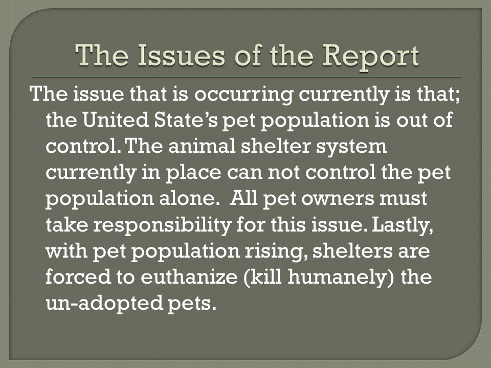 The Issues of the Report