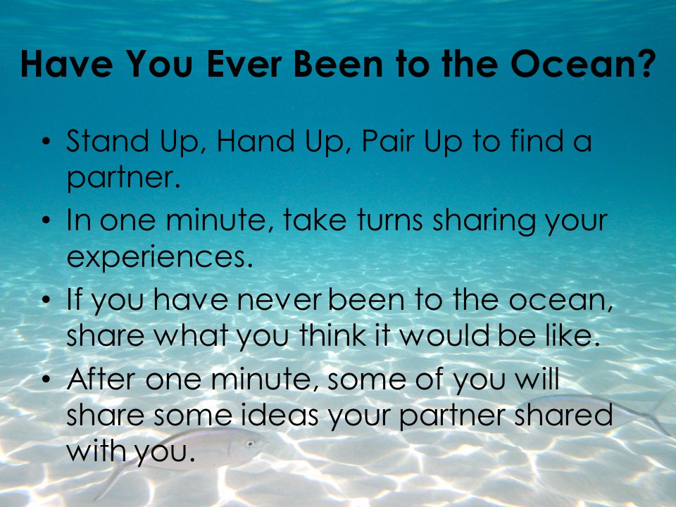 Have You Ever Been to the Ocean
