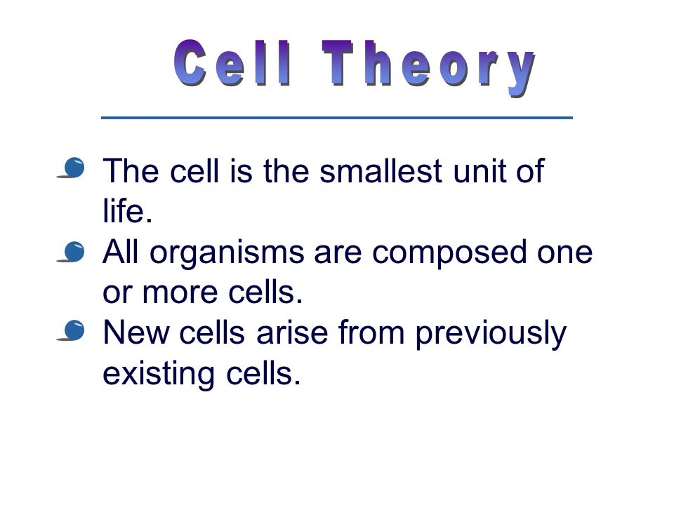 Cell Theory The Cell Is The Smallest Unit Of Life All Organisms Are Composed One Or More Cells New Cells Arise From Previously Existing Cells Ppt Video Online Download