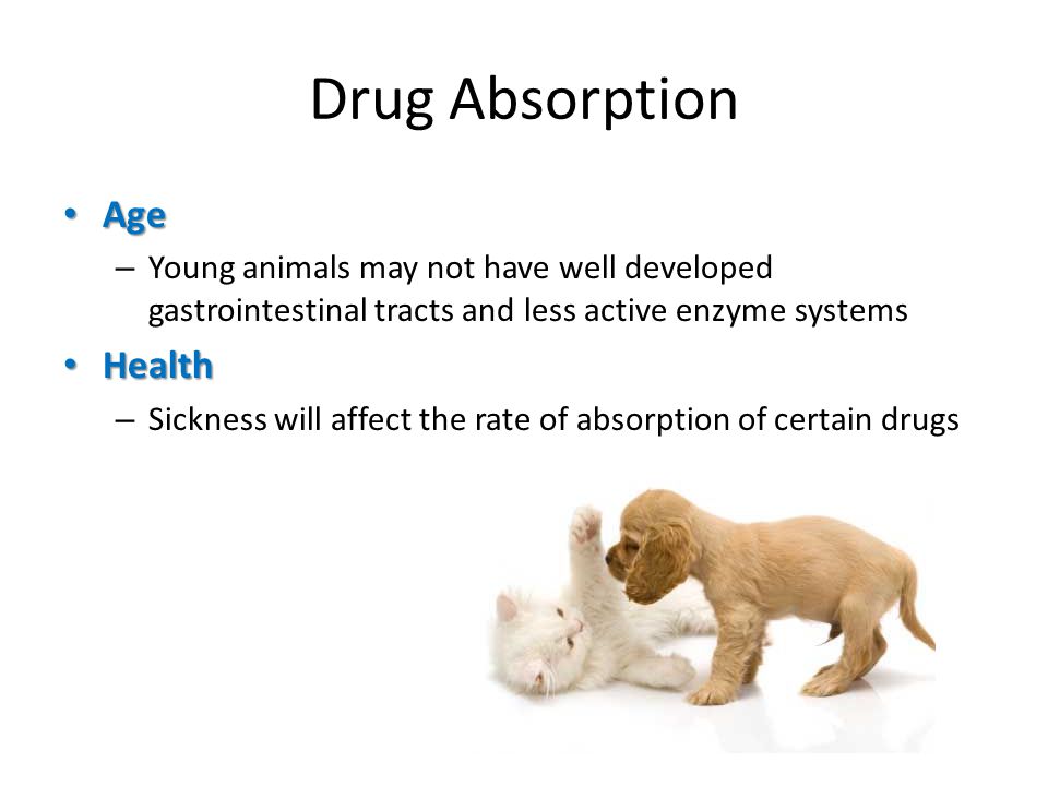 Drug Absorption Age Health