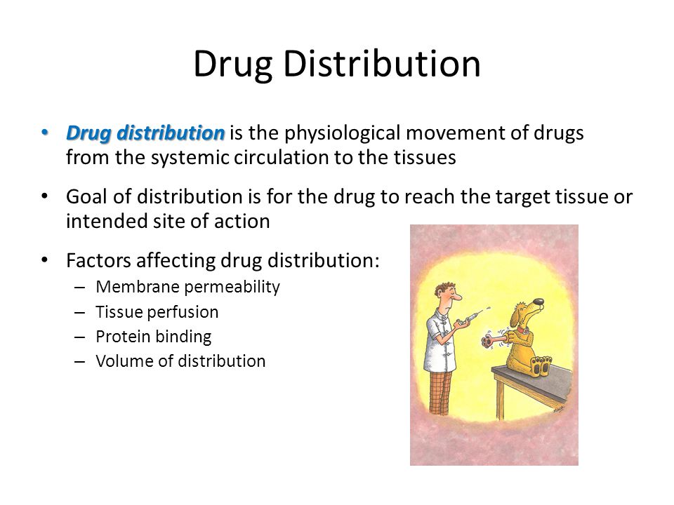 Drug Distribution Drug distribution is the physiological movement of drugs from the systemic circulation to the tissues.