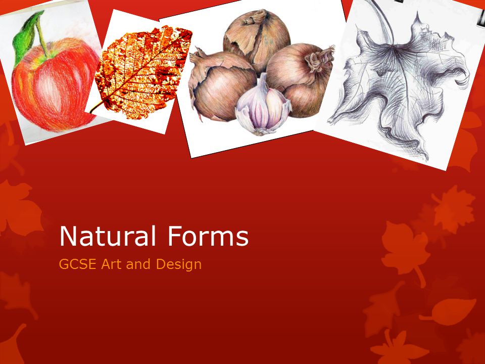 Natural Forms GCSE Art and Design