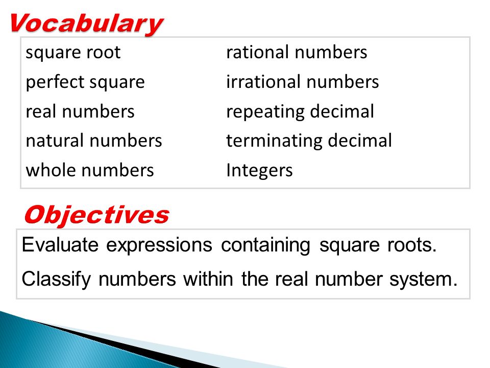 Vocabulary Objectives square root rational numbers