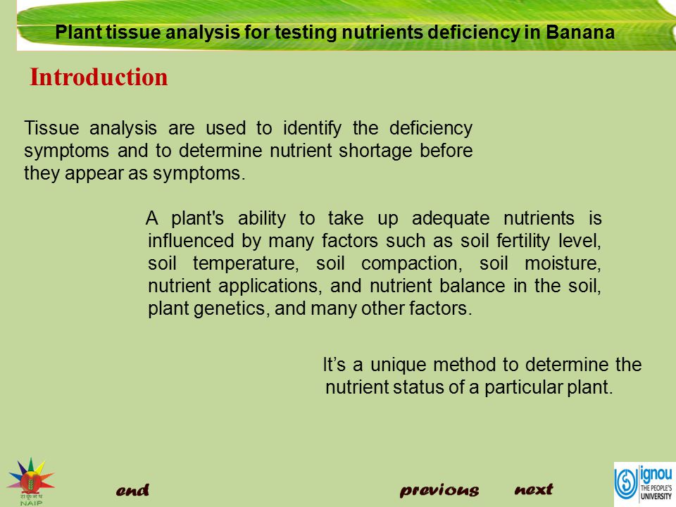 Plant Nutrient Deficiency Symptoms Chart
