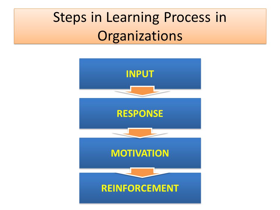 LEARNING PROCESS & REINFORCEMENTS - ppt download