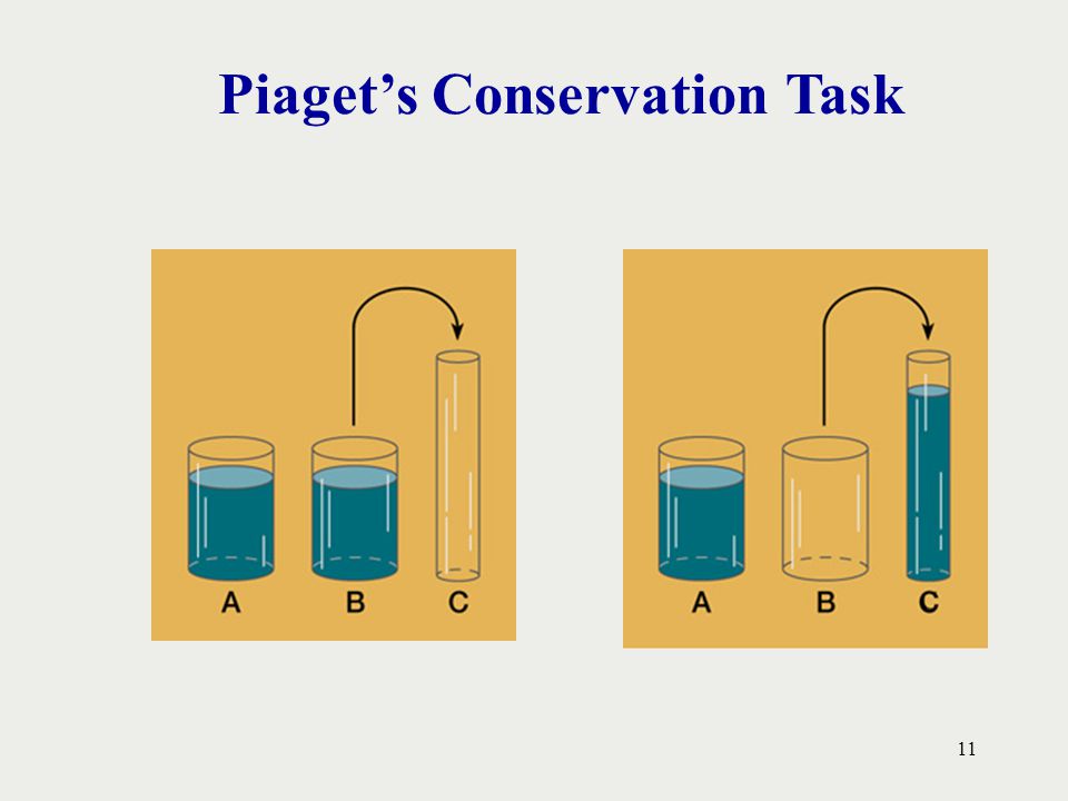 Piaget's Theory of Cognitive Development - ppt video online download