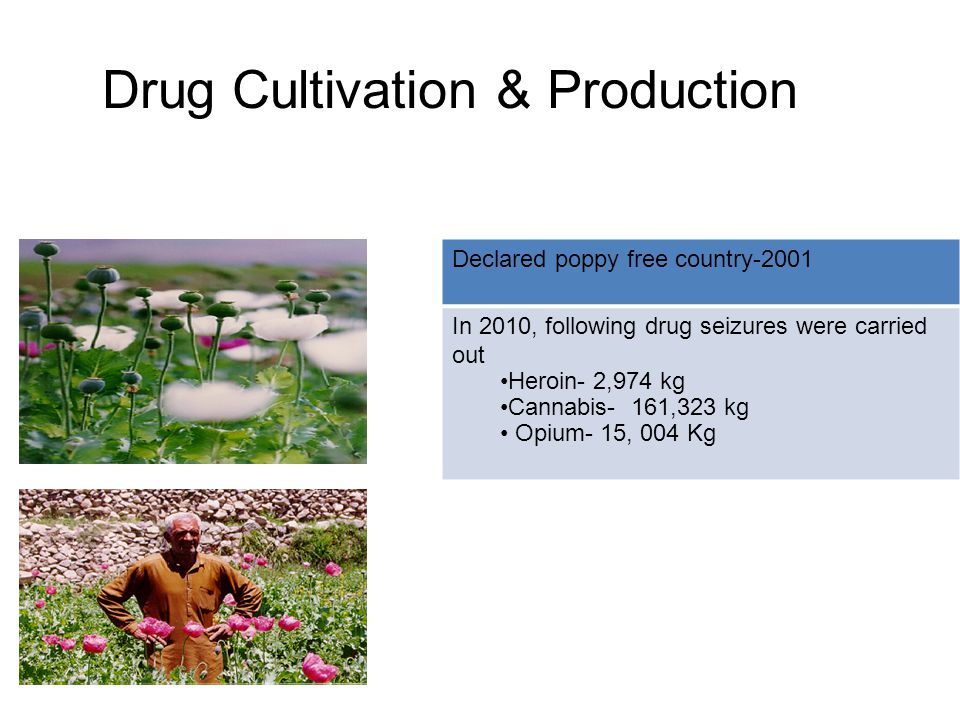 Drug Cultivation & Production