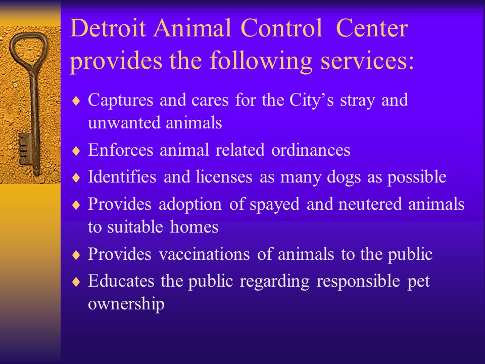 Detroit Animal Control Center provides the following services:
