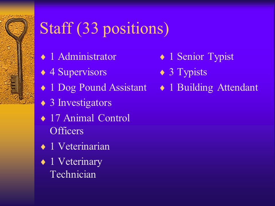 Staff (33 positions) 1 Administrator 4 Supervisors