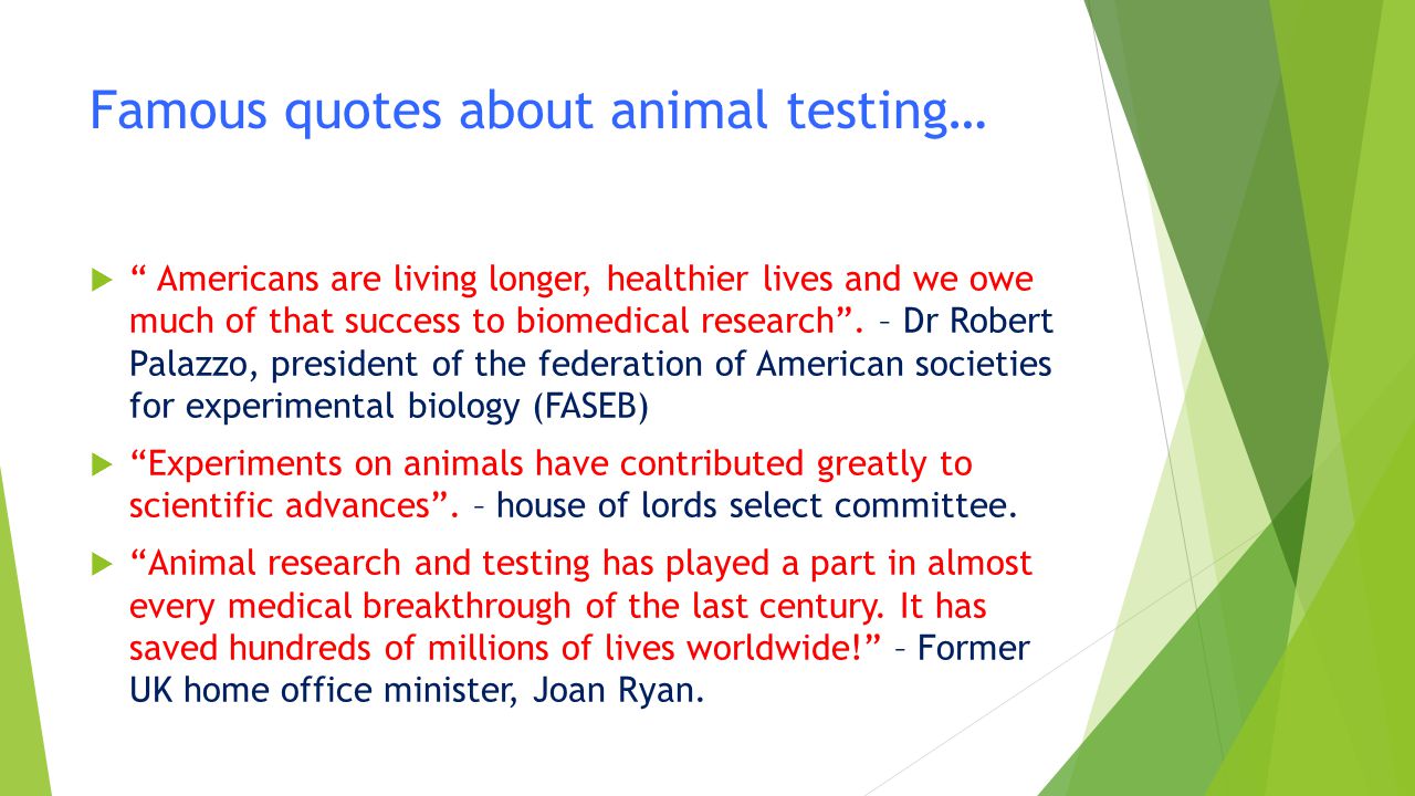 Reasons for animal testing - ppt video online download