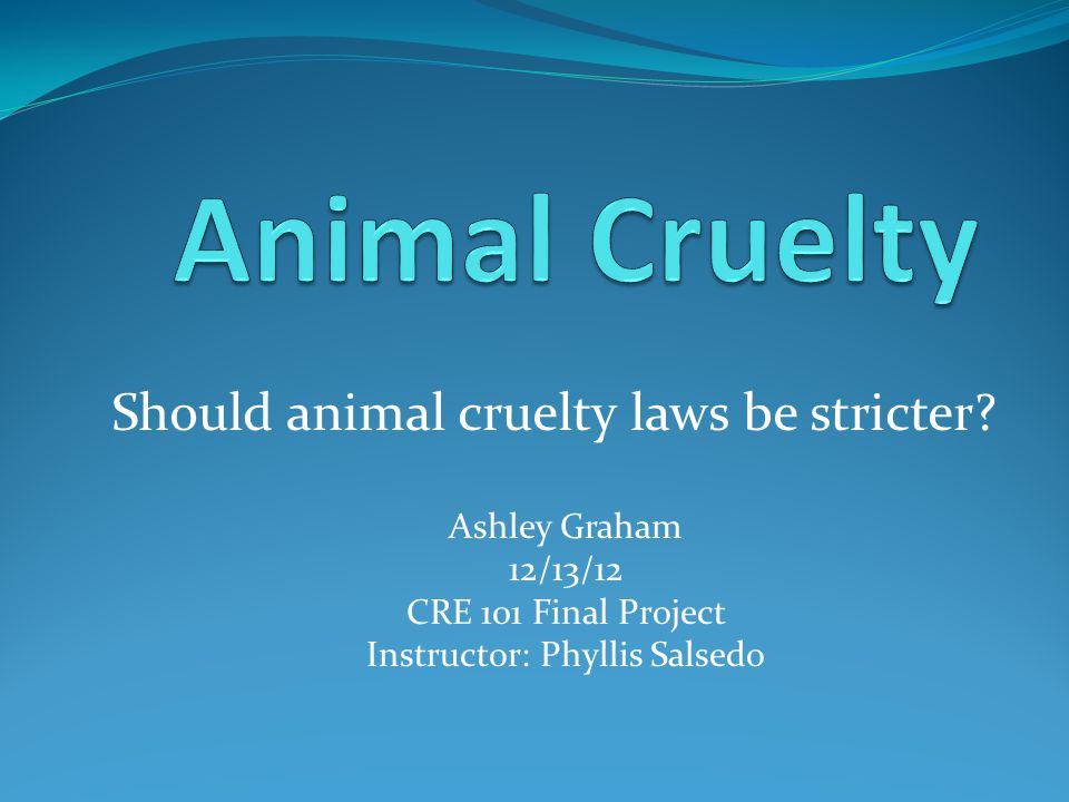 Should animal cruelty laws be stricter